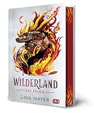 Wilderland 2 – Das Feuer: Actiongeladene Fantasy ab 11 Jahren - Mit Farbschnitt (Die Wilderland-Reihe, Band 2)