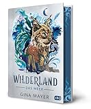 Wilderland – Das Meer: Actiongeladene Fantasy ab 11 Jahren – Mit Farbschnitt (Die Wilderland-Reihe, Band 3)